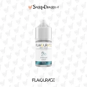FLAVOURAGE - Liquido Scomposto 10+10 FREEZY MINT
