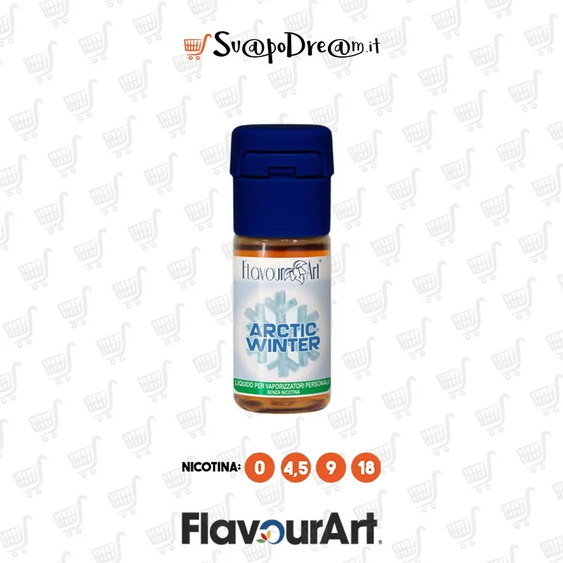 FLAVOURART - Liquido 10ml ARTIC WINTER