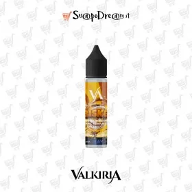 VALKIRIA - Aroma Shot 20ml BISK8