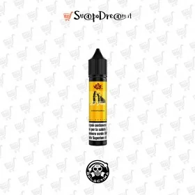 GALACTIKA - Aroma Mini Shot 10ml ZIO FLAVIO