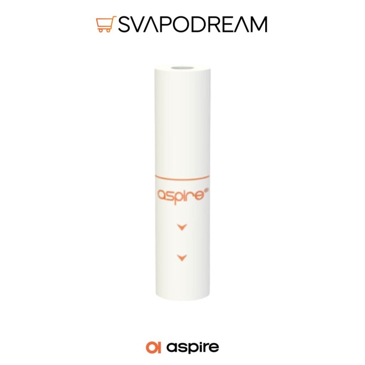 ASPIRE - Filtri Vilter 10pz