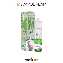 VAPORICE - Aroma Shot 20ml MENTA