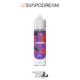 GHOST BUS CLUB - Aroma Shot 20ml FLAMINGO
