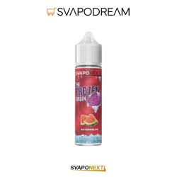 SVAPONEXT - Aroma Shot 20ml The Frozen Brain WATERMELON