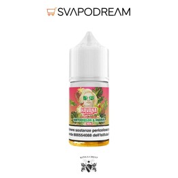 GALACTIKA & KINGS CREST - Mini Shot Havana Dream WATERMELON & PAPAYA