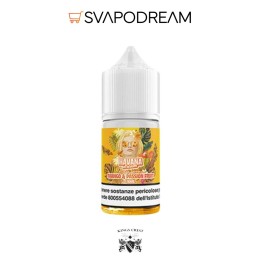 GALACTIKA & KINGS CREST - MiniShot Havana Dream MANGO & PASSION FRUIT