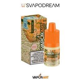 VAPORART - Liquido 10ml MELONE ICE