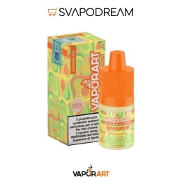 VAPORART - Liquido 10ml AGRUMI ICE