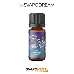 SVAPONEXT - Aroma Concentrato 10ml Next Flavour ICE GRAPE