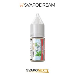 SVAPONEXT - Aroma Concentrato 10ml Starter Flavour MENTA ICE