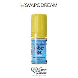 CYBER FLAVOUR - Aroma CYBER ICE