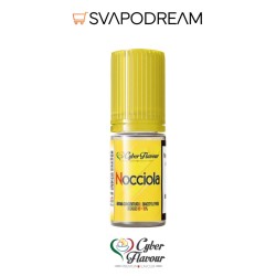 CYBER FLAVOUR - Aroma Concentrato 10ml NOCCIOLA