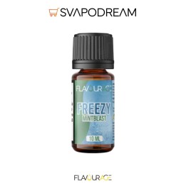 FLAVOURAGE - Aroma Concentrato 10ml Freezy MINTBLAST