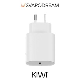 Caricabatteria Kiwi 2 USB-C da Rete | Svapodream